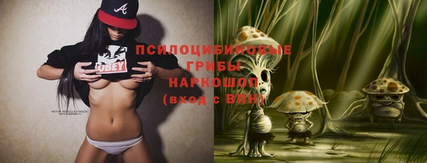 трава Вязьма