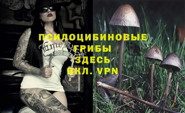 синтетический гашиш Вяземский