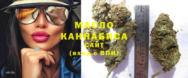 твердый Протвино