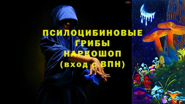трава Вязьма
