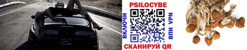 Галлюциногенные грибы Psilocybine cubensis  Елец 