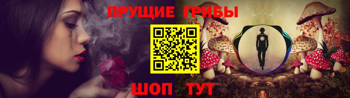 Елец  Псилоцибиновые грибы Psilocybe  Вход с VPN 